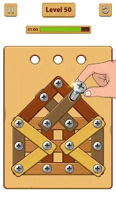 Woodnuts Bolts Puzzle